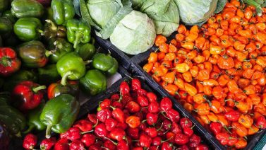 5 Advantages Of Organic Farming
