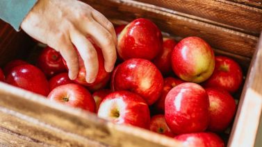 Do Organic Apples Have Wax? A Comprehensive Guide