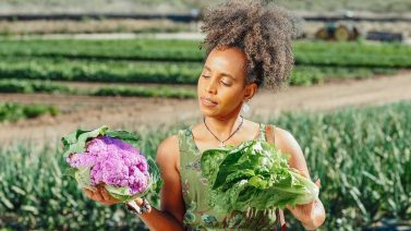 5 Disadvantages Of Organic Farming