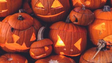Is A Jack-O’-Lantern Renewable?