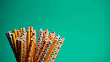 How Biodegradable Are Biodegradable Bbs?