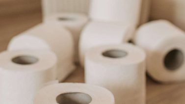 How Biodegradable Is Toilet Paper?