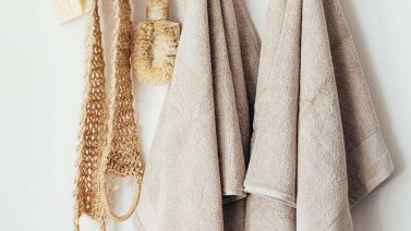 How Biodegradable Is Pla?