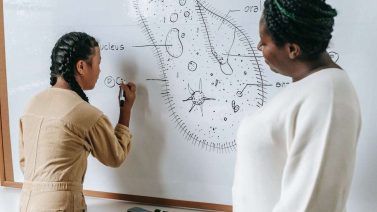 What Makes A Material Biodegradable?