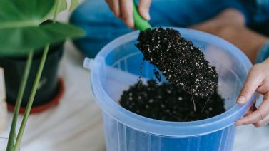 How Does Organic Material Enter Soil?