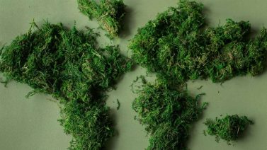 How Did The First Organic Molecules Form?