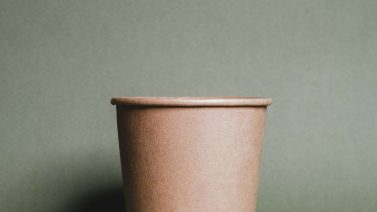 How Biodegradable Is Paper?