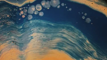 Is Non Toxic Paint Safe For Pets?