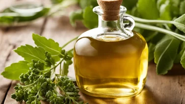Is Organic Canola Oil Healthy? The Pros And Cons