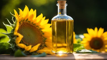 Is Organic Sunflower Oil Healthy? The Pros And Cons