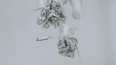 Are Mrs. Meyers Cleaning Products Non-Toxic?