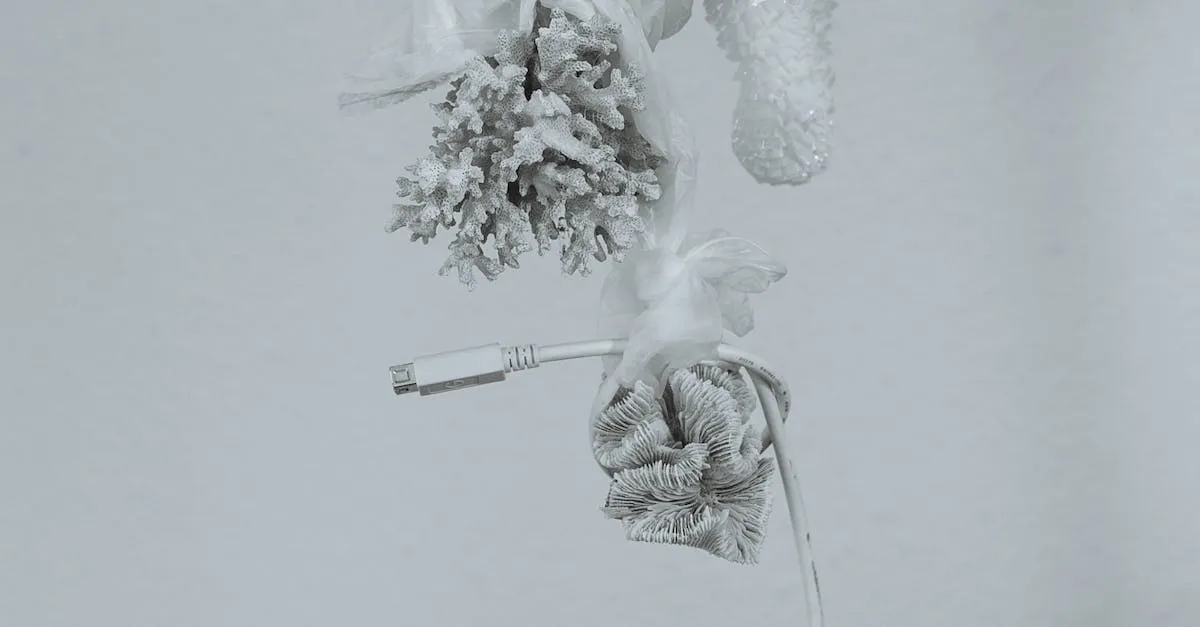 Are Mrs. Meyers Cleaning Products NonToxic?