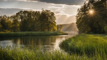 Environmental Factors That Cause Parkinson’S Disease