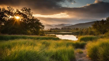 What Is An Environmentally Sensitive Area?