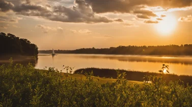 What Is Environment In Grade 3?