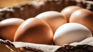 Organic Eggs Vs Non-Organic Eggs: What’S The Difference?