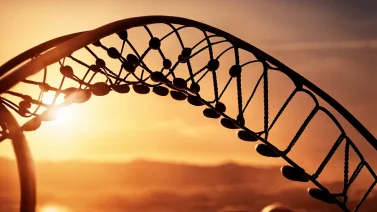 What Organic Base Is Not Found In Dna?