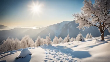 What Organic Compound Consists Of Amino Acids?