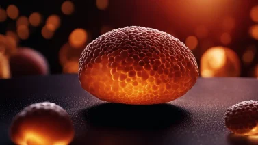 What Organic Compound Fuels Our Cells?