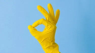 Is Latex Biodegradable? A Detailed Look At The Facts