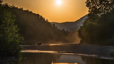 Why Bitcoin Is Not Eco-Friendly