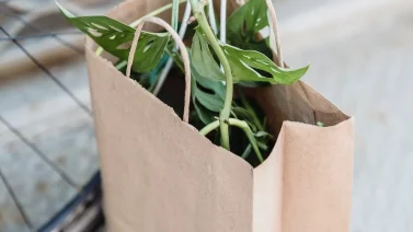 Is Kraft Paper Eco-Friendly? A Detailed Look
