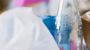 Is Le Creuset Cookware Toxic?