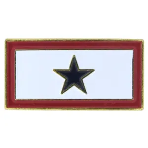 Close-up of the US Flag Store blue star lapel pin with gold clutch back