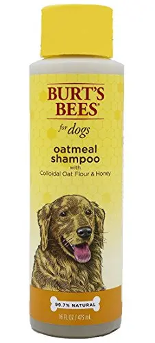 Burt's Bees Oatmeal Dog Shampoo bottle with honeycomb and oatmeal imagery
