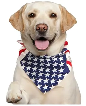Red, white, and blue American flag dog bandana by Costume Adventure