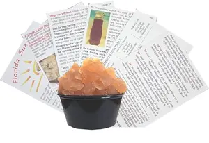 Large portion cup of live Florida Sun kefir water kefir grains