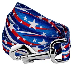 Country Brook Design Star Spangled dog leash with classic patriotic stars pattern