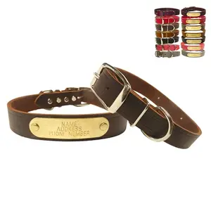 Warner Sporting Cumberland custom engraved leather dog collar with brass ID tag