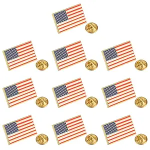 Set of 10 different American flag enamel lapel pins, perfect for history teacher's assortment