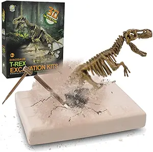 T-Rex fossil dig kit with tools