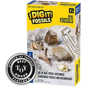 Thames & Kosmos real fossils excavation kit
