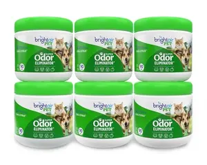 Bright Air gel jars lined up with a pet bed in the background