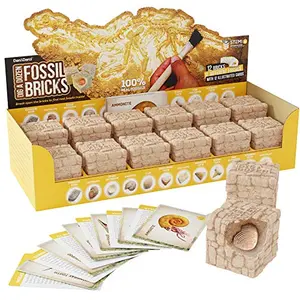 Dan&Darci fossil dig kit with 12 bricks