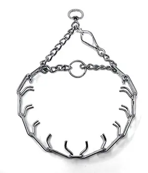 Herm Sprenger ultra-plus prong collar with quick release snap on a Labrador
