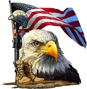 Bald eagle and American flag decal on car window