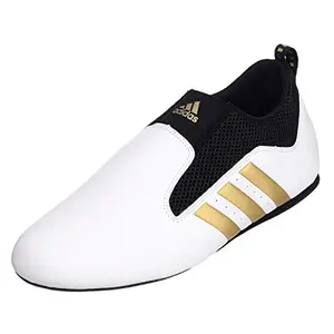 Adidas Taekwondo shoes for jiu jitsu alternative
