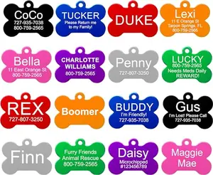 Providence Engraving pet ID tag in blue bone shape