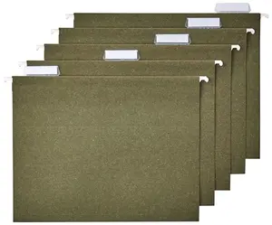 Amazon Basics Hanging File Folders green box