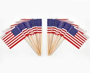 American flag toothpick flags pack for classroom science