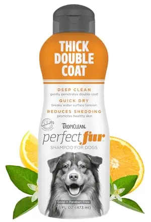 TropiClean Perfect Fur shampoo bottle next to a dog with a thick double coat