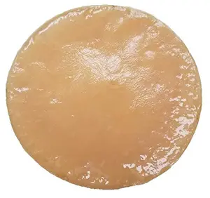 Custom Variety XXLG kombucha SCOBY mother culture with starter tea in a pouch
