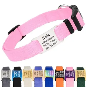 GoTags personalized custom engraved dog collar with slide-on steel ID tag