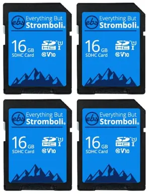 Everything But Stromboli 4 pack 16GB SD cards