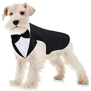Weewooday dog tuxedo and bandana set on a dog