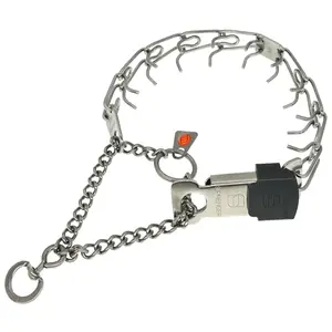 Herm Sprenger stainless steel prong collar with ClicLock buckle on a small terrier